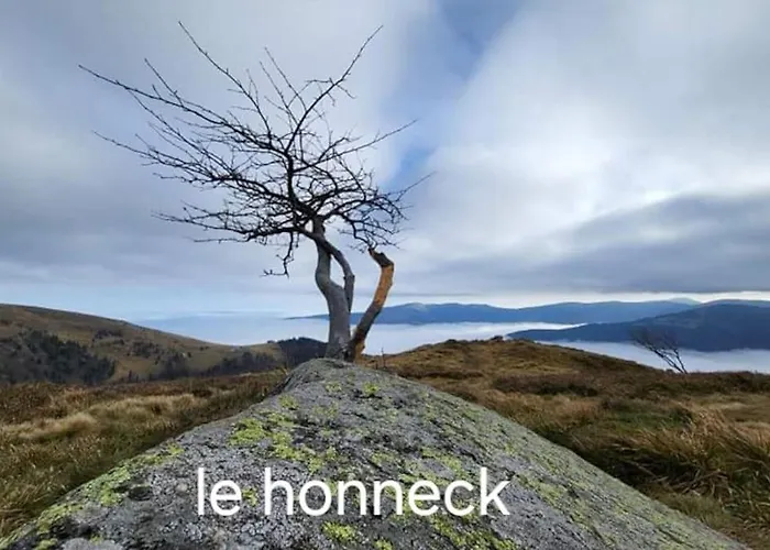 Laetoile 아파트 Granges-sur-Vologne